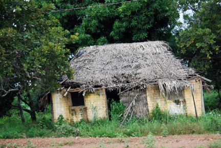 Foto_Tapera5